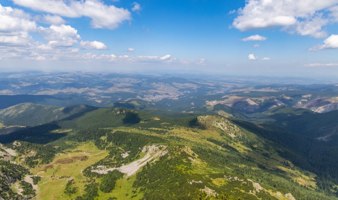 kurti-kosovo-manipulisanje-cinjenicama